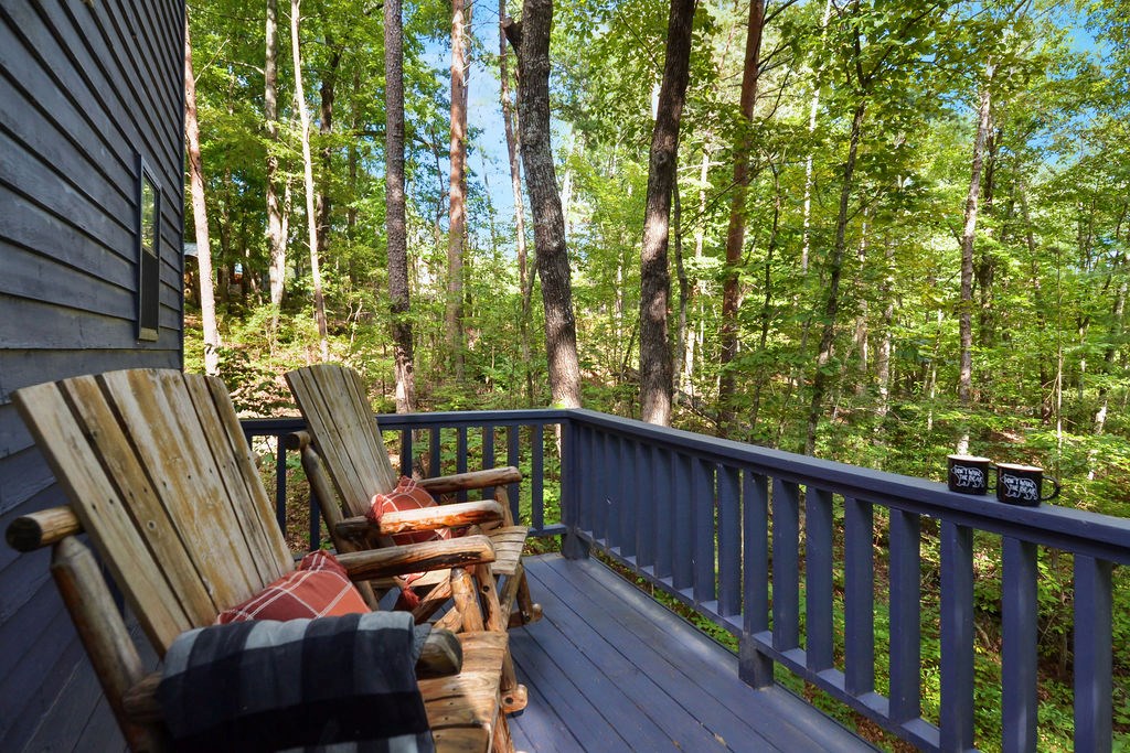 251 North Pine Road Ellijay, GA 30536 - Photo 26 of 39 Gallery Image 26