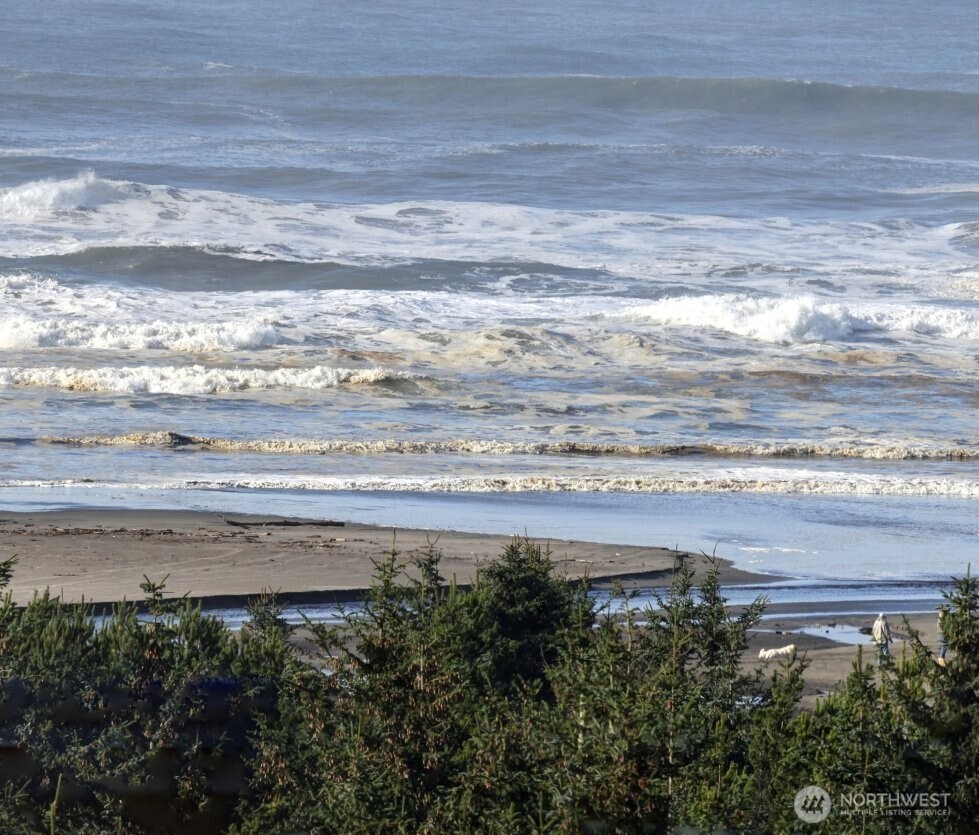 2815 Willows Road, Unit 336 Seaview, WA 98644 - Photo 21 of 37