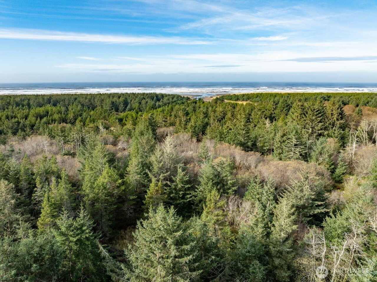 2815 Willows Road, Unit 336 Seaview, WA 98644 - Photo 22 of 37