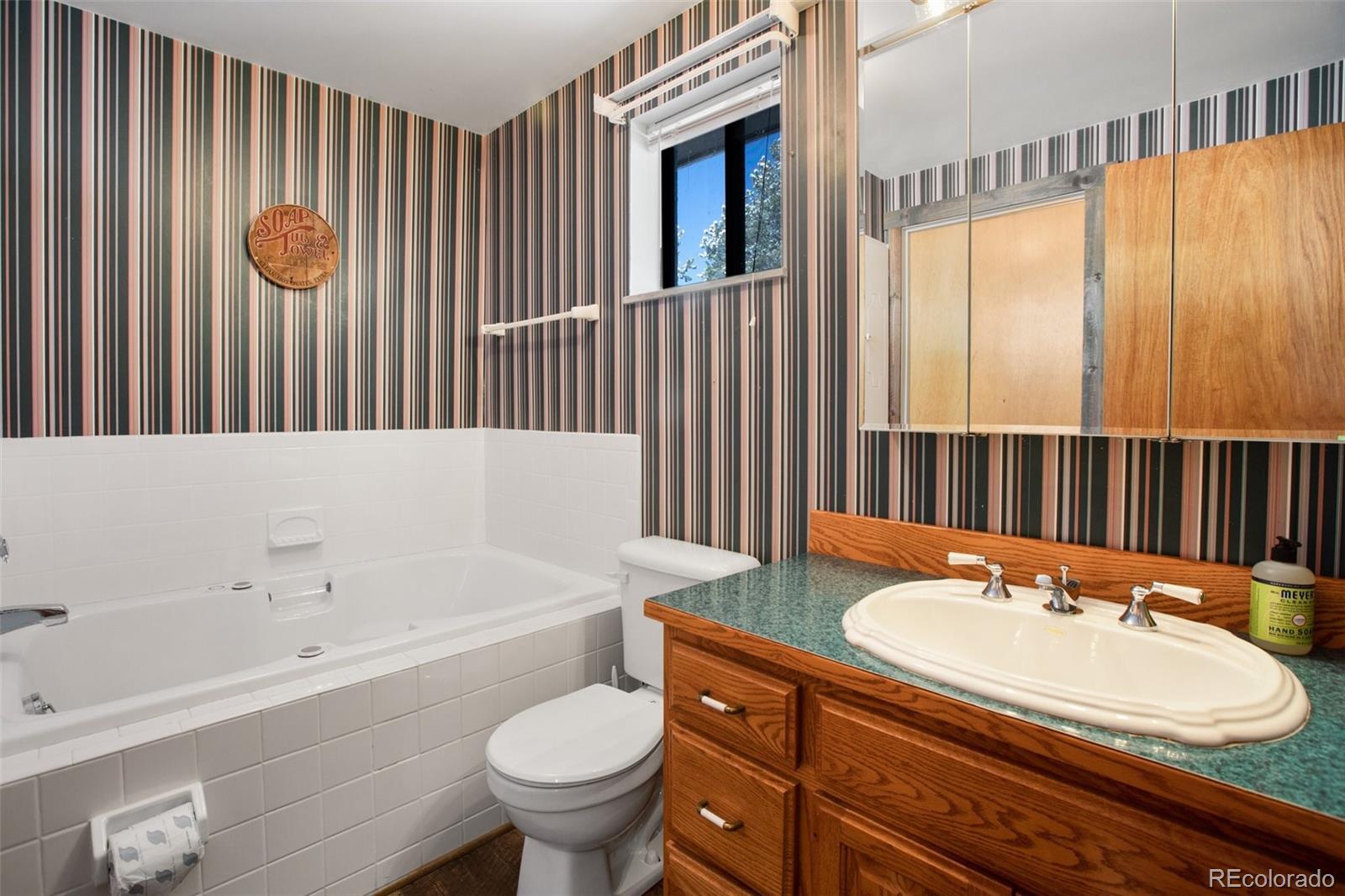 170 Ridge Road Divide, CO 80814 - Photo 21 of 50 a bathroom with a sink a toilet and a bathtub