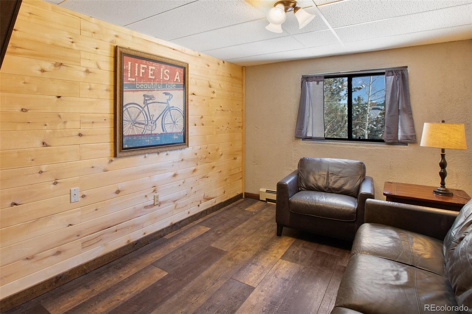 170 Ridge Road Divide, CO 80814 - Photo 31 of 50 a living room with furniture and a window