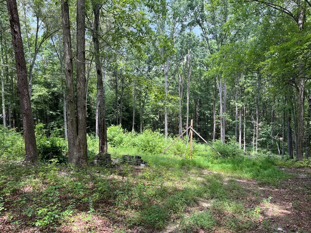 0 Buttrum Road Adairsville, GA 30103 - Photo 13 of 17 a backyard of a house with lots of green space