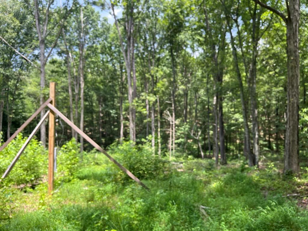 0 Buttrum Road Adairsville, GA 30103 - Photo 15 of 17 a view of an outdoor space and trees