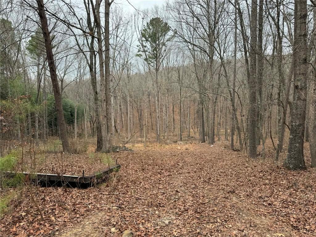 0 Buttrum Road Adairsville, GA 30103 - Photo 4 of 17 a view of a backyard with large trees