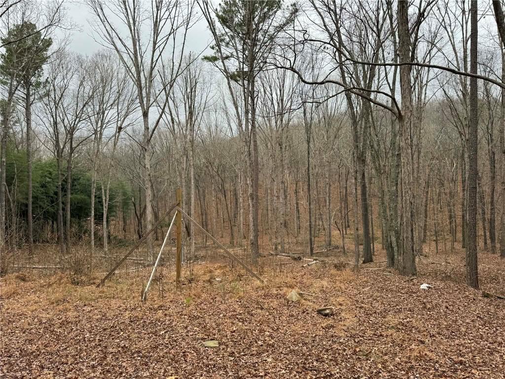 0 Buttrum Road Adairsville, GA 30103 - Photo 5 of 17 a backyard of a house with lots of green space