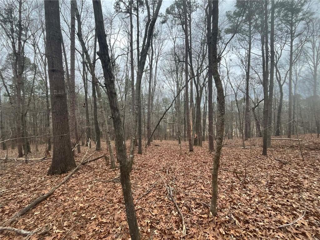0 Buttrum Road Adairsville, GA 30103 - Photo 8 of 17 a view of a yard with trees in the background