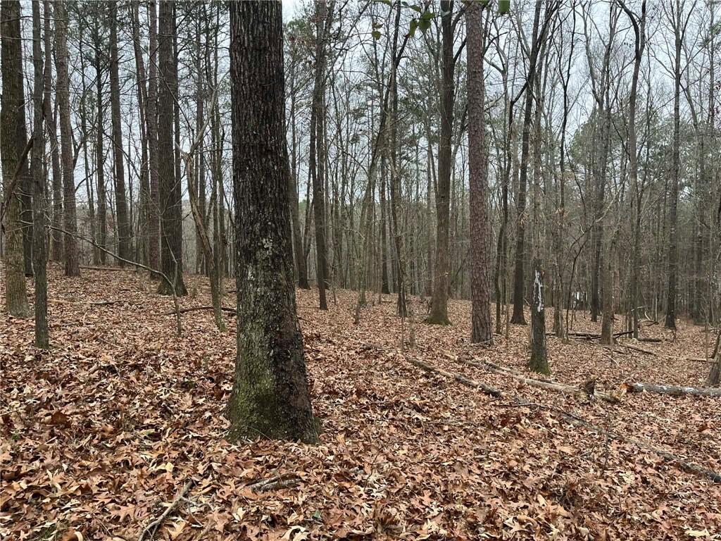 0 Buttrum Road Adairsville, GA 30103 - Photo 9 of 17 a fire hydrant in the middle of a forest