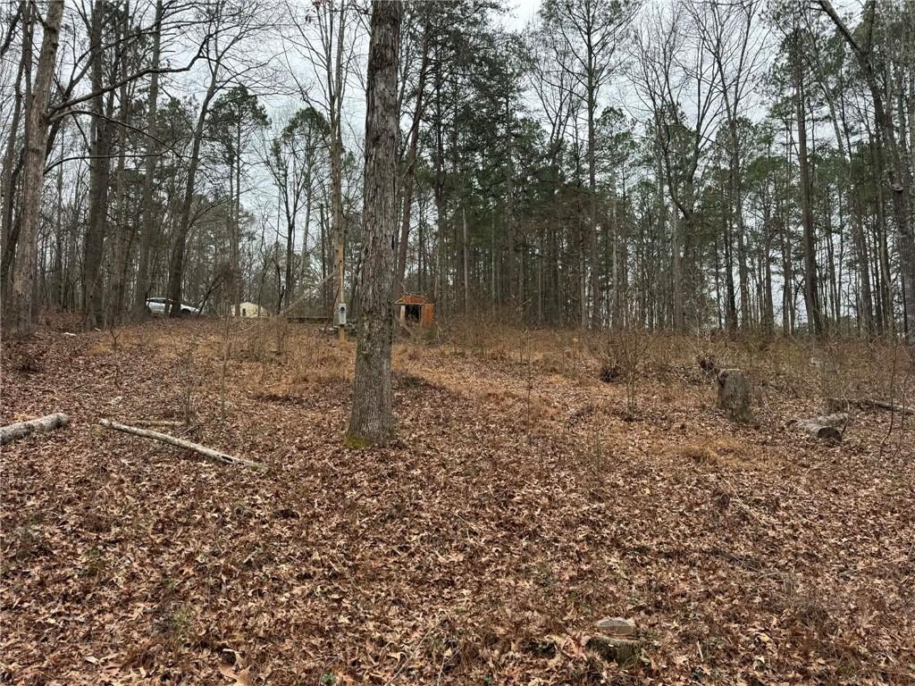 0 Buttrum Road Adairsville, GA 30103 - Photo 10 of 17 a view of a forest with trees in the background