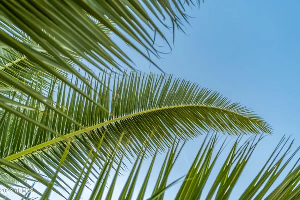 $5,500 | 7733 East Hubbell Street, Scottsdale, AZ 85257