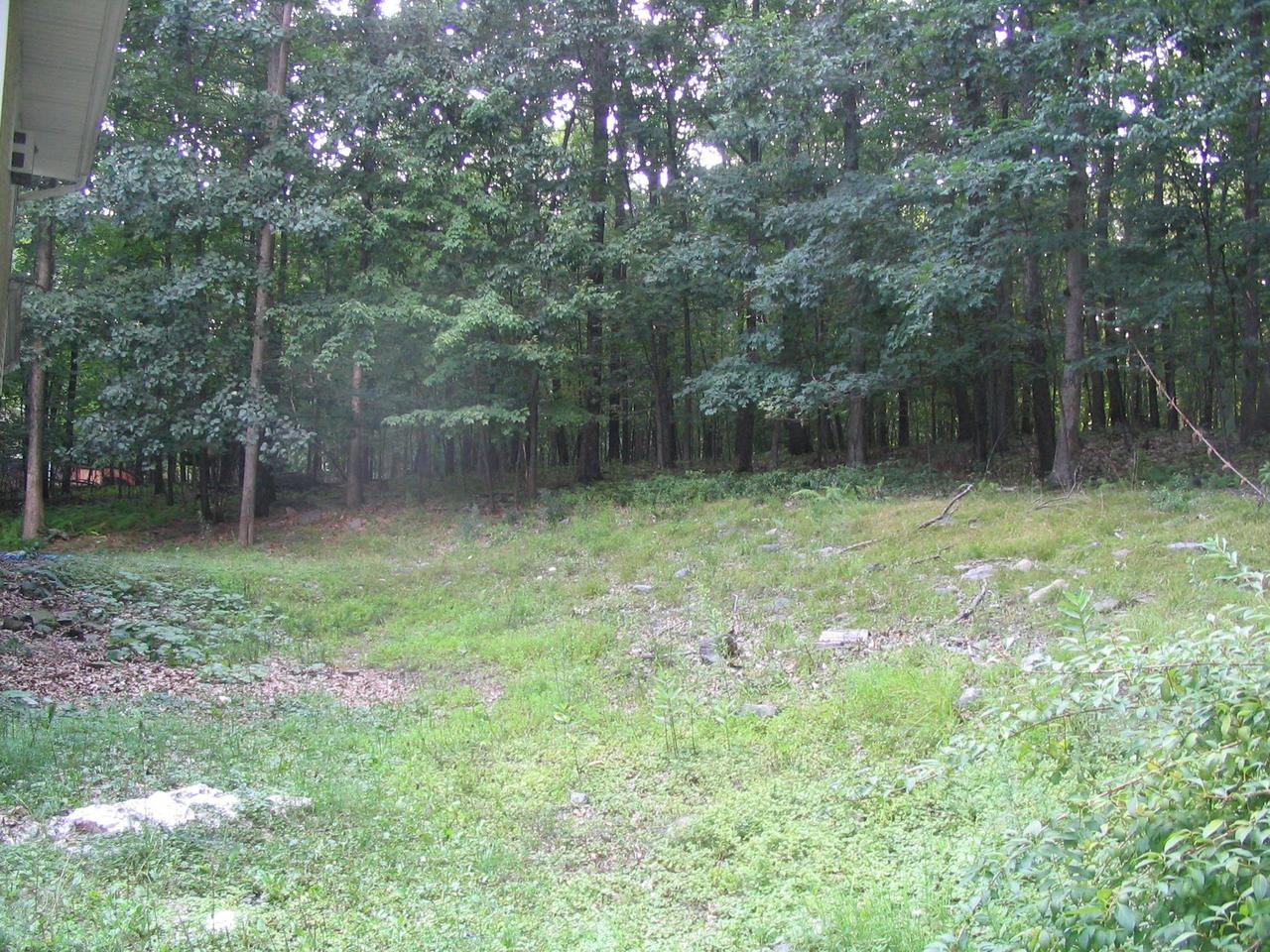 2007 Hemlock Road Tannersville, PA 18372 - Photo 8 of 8 Lot