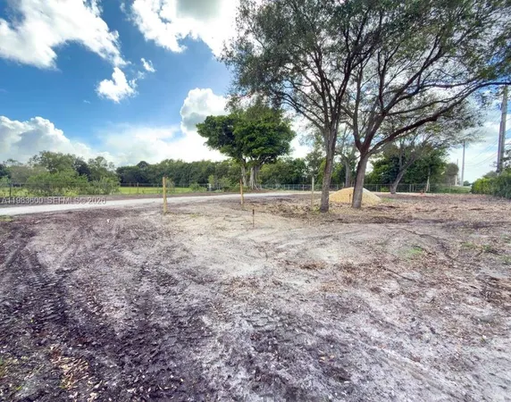 a view of dirt yard with a large tree