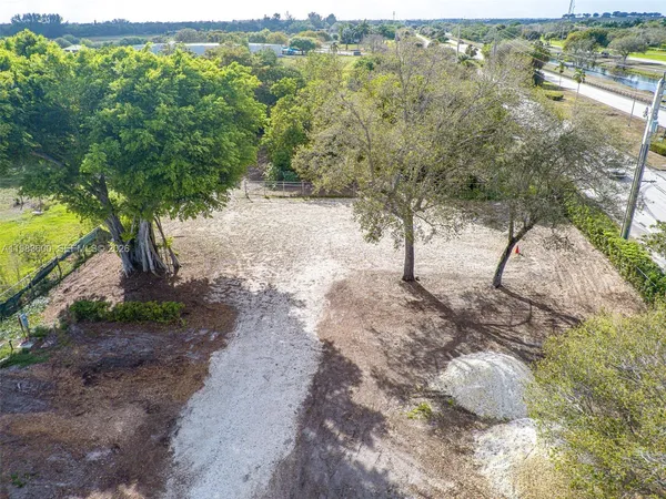 a view of a yard with a tree