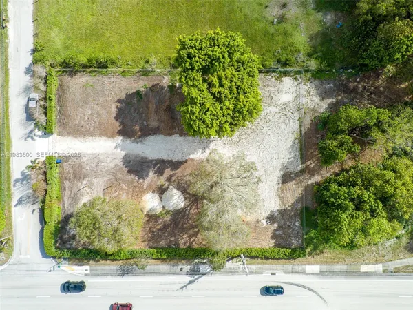 a view of a yard with plants