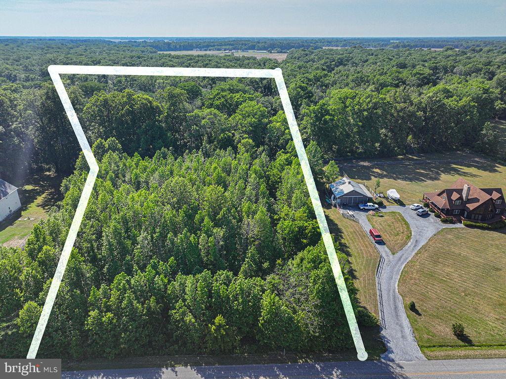 Lot 7 Bell Road Whaleyville, MD 21872 - Photo 1 of 20