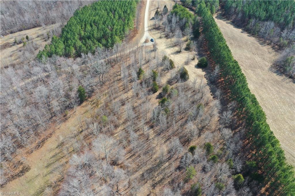 0 Lake Farm Road Yanceyville, NC 27379 - Photo 2 of 9