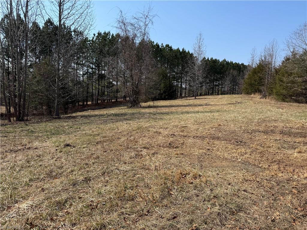 0 Lake Farm Road Yanceyville, NC 27379 - Photo 3 of 9