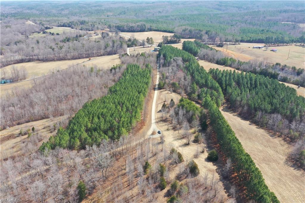 0 Lake Farm Road Yanceyville, NC 27379 - Photo 6 of 9