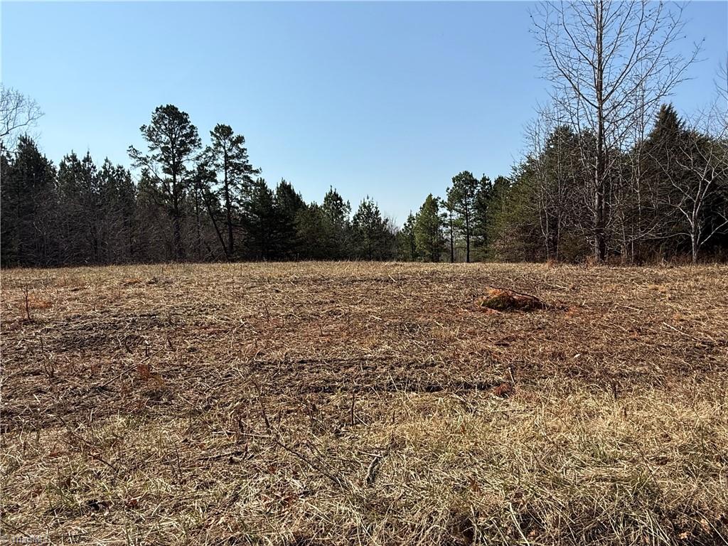 0 Lake Farm Road Yanceyville, NC 27379 - Photo 8 of 9