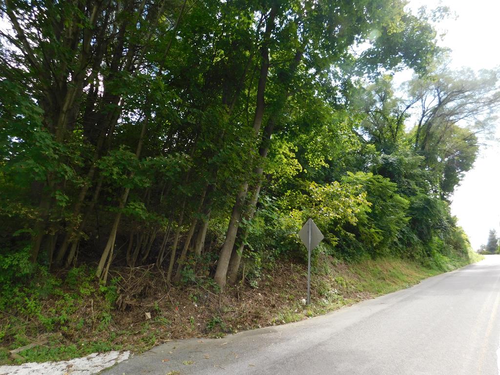 0 Wrangletown Road Mount Union, PA 17066 - Photo 1 of 5 Gallery Image 1