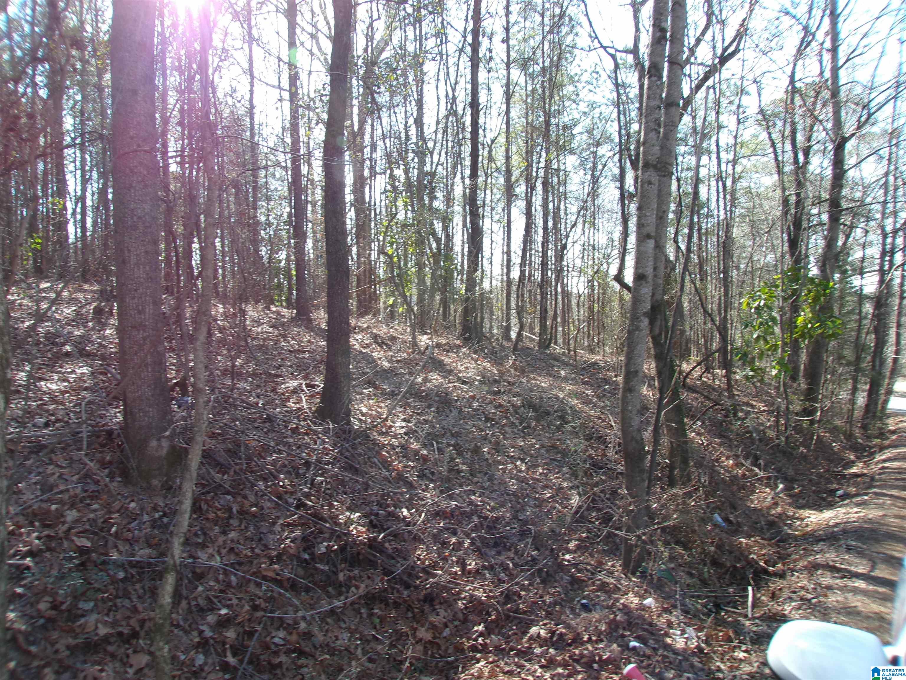 0 Arthur Drive, Unit 27 Weaver, AL 36277 - Photo 11 of 15