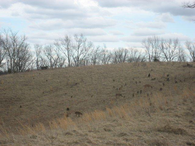 1234 Goose Creek Road Bagdad, KY 40003 - Photo 20 of 23 Photo 20