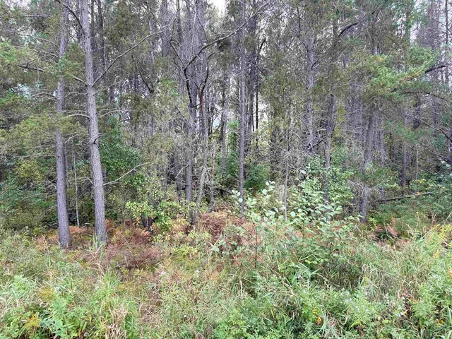 $59,000 | 0 Old Odanah Road, Ashland, WI 54806