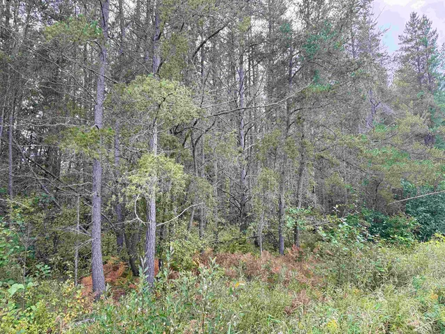 $59,000 | 0 Old Odanah Road, Ashland, WI 54806