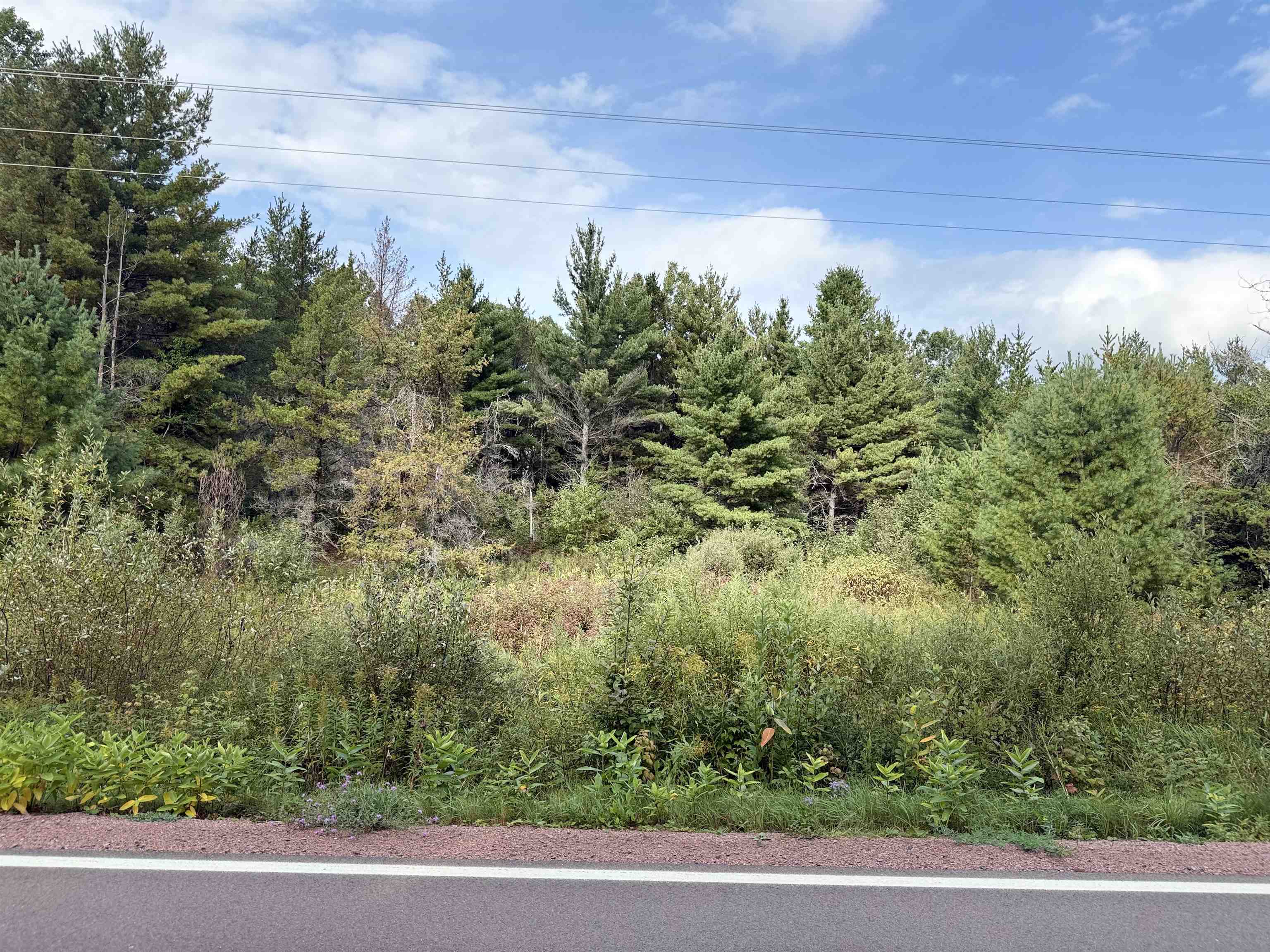 0 Old Odanah Road Ashland, WI 54806 - Photo 5 of 8 View of undeveloped land