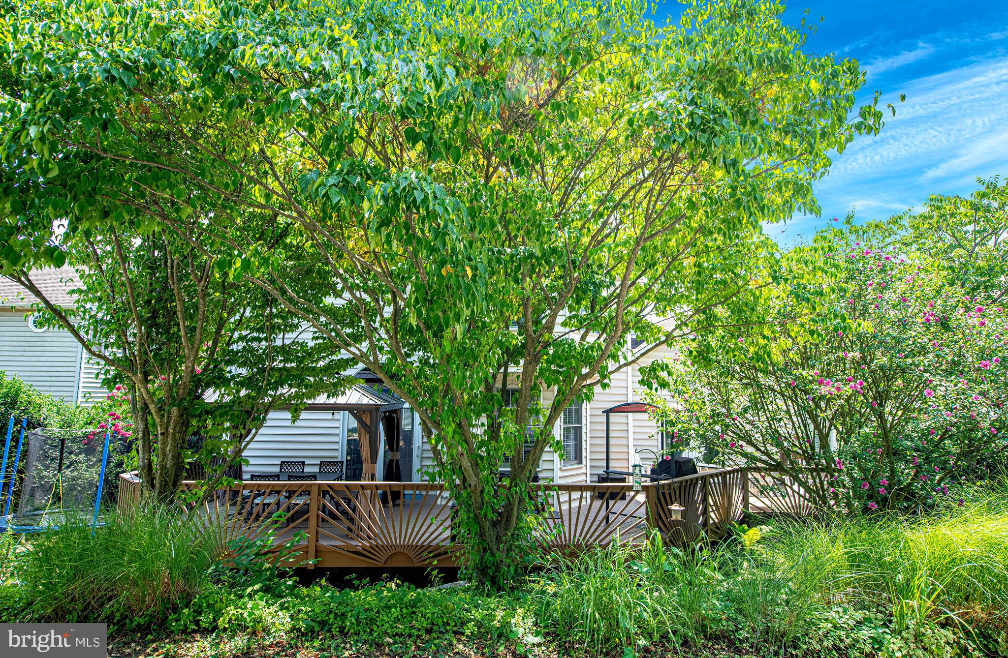 8506 Marblehead Road Lutherville-Timonium, MD 21093 - Photo 45 of 70 View from private drive