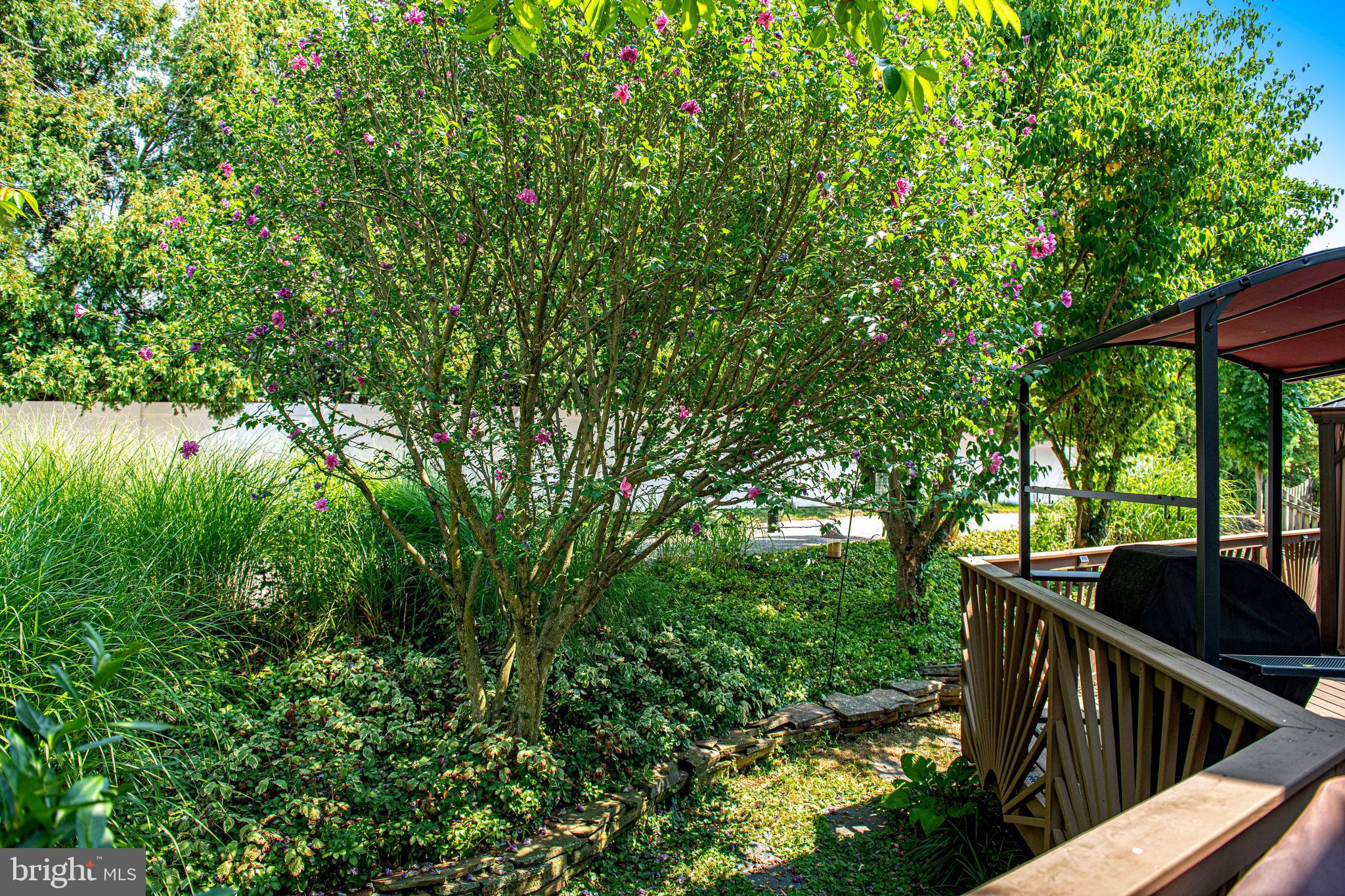 8506 Marblehead Road Lutherville-Timonium, MD 21093 - Photo 62 of 70 Gallery Image 62
