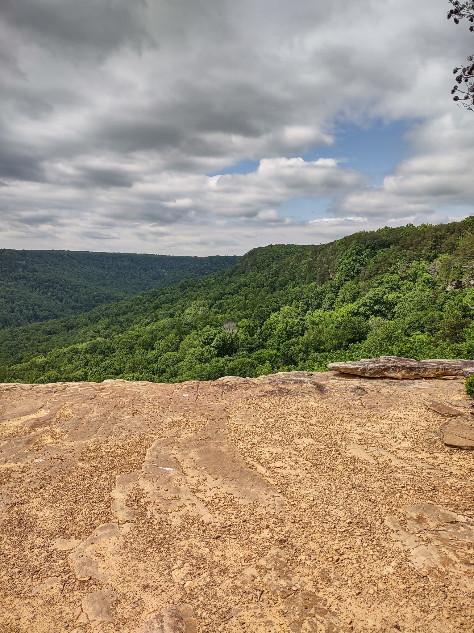 689 Stone Door Road Beersheba Springs, TN 37305 - Photo 13 of 15 Gallery Image 13