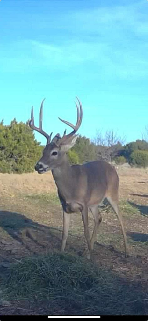 0 County Road Sonora, TX 76950 - Photo 12 of 13 Gallery Image 12