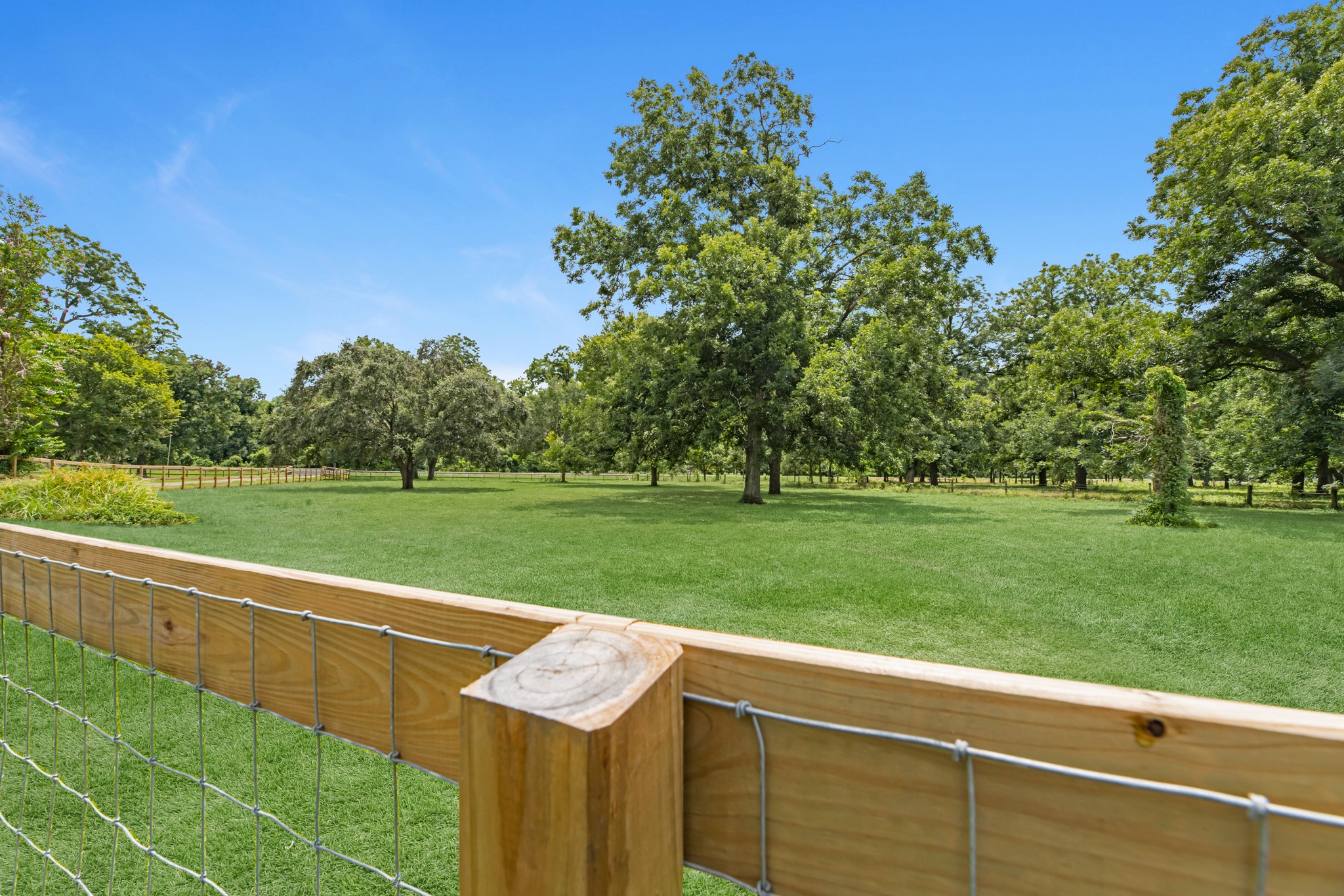 17126 County Road 39 Rosharon, TX 77583 - Photo 46 of 47 a view of a park with large trees