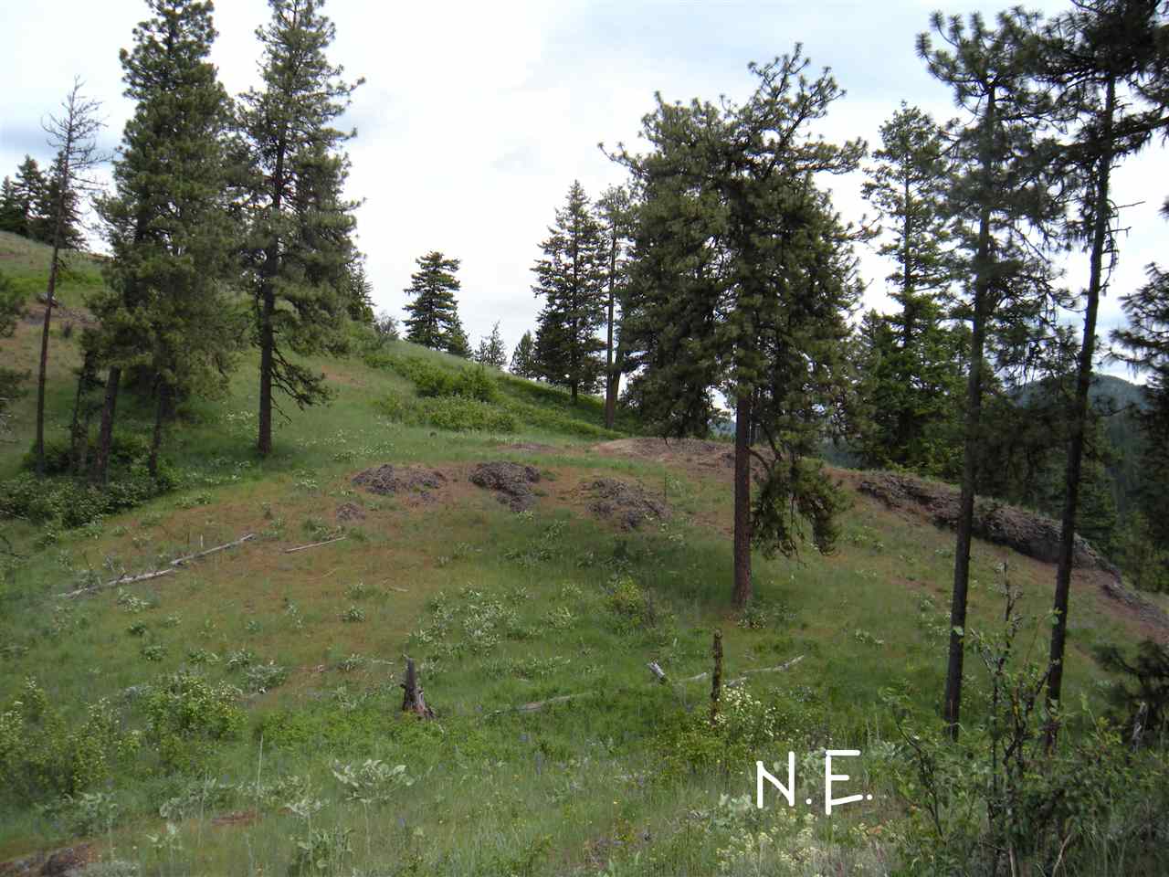 0 Vanes Lake Road Newport, WA 99156 - Photo 5 of 10