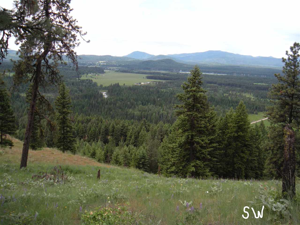 0 Vanes Lake Road Newport, WA 99156 - Photo 9 of 10
