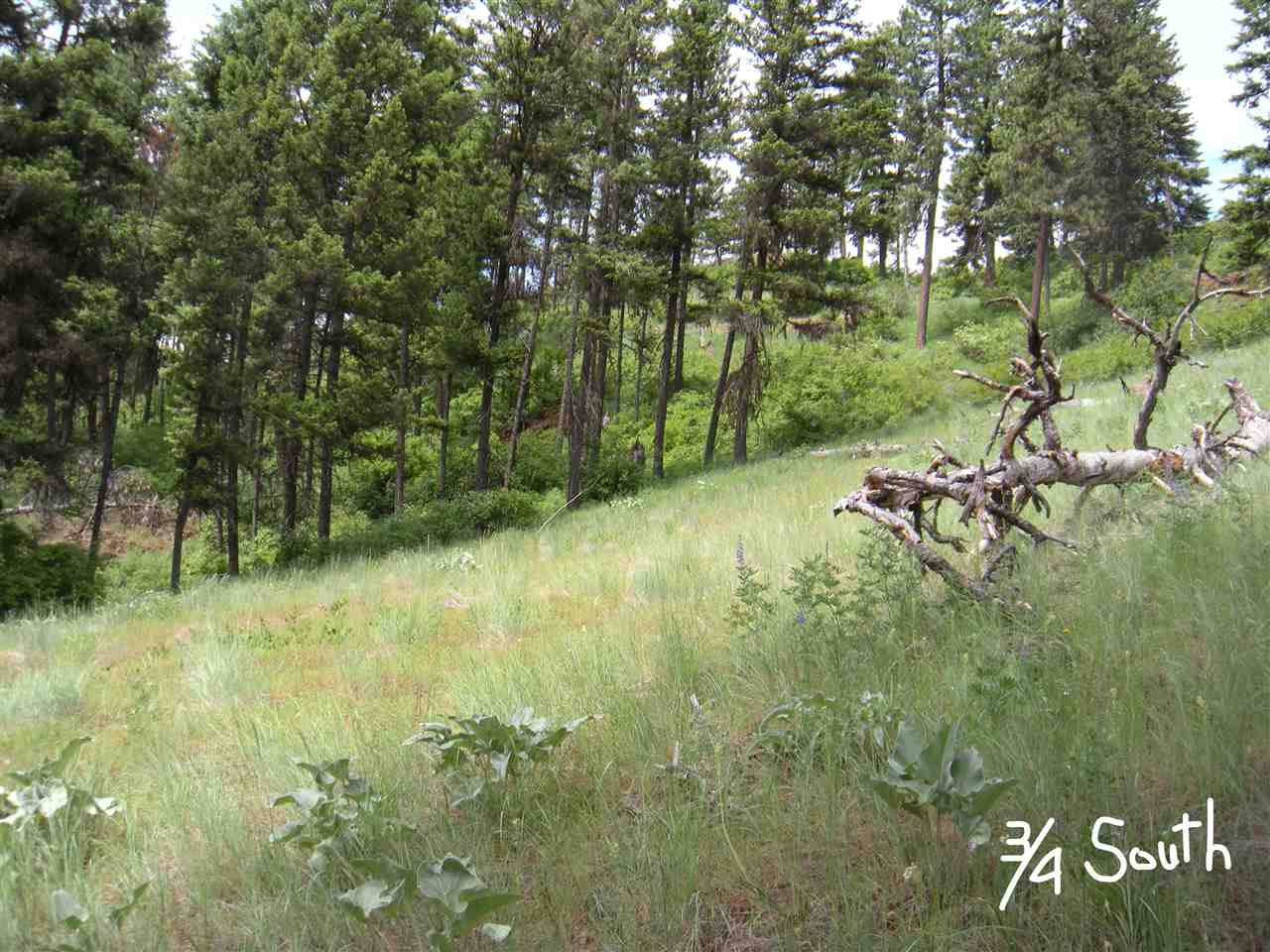 0 Vanes Lake Road Newport, WA 99156 - Photo 10 of 10