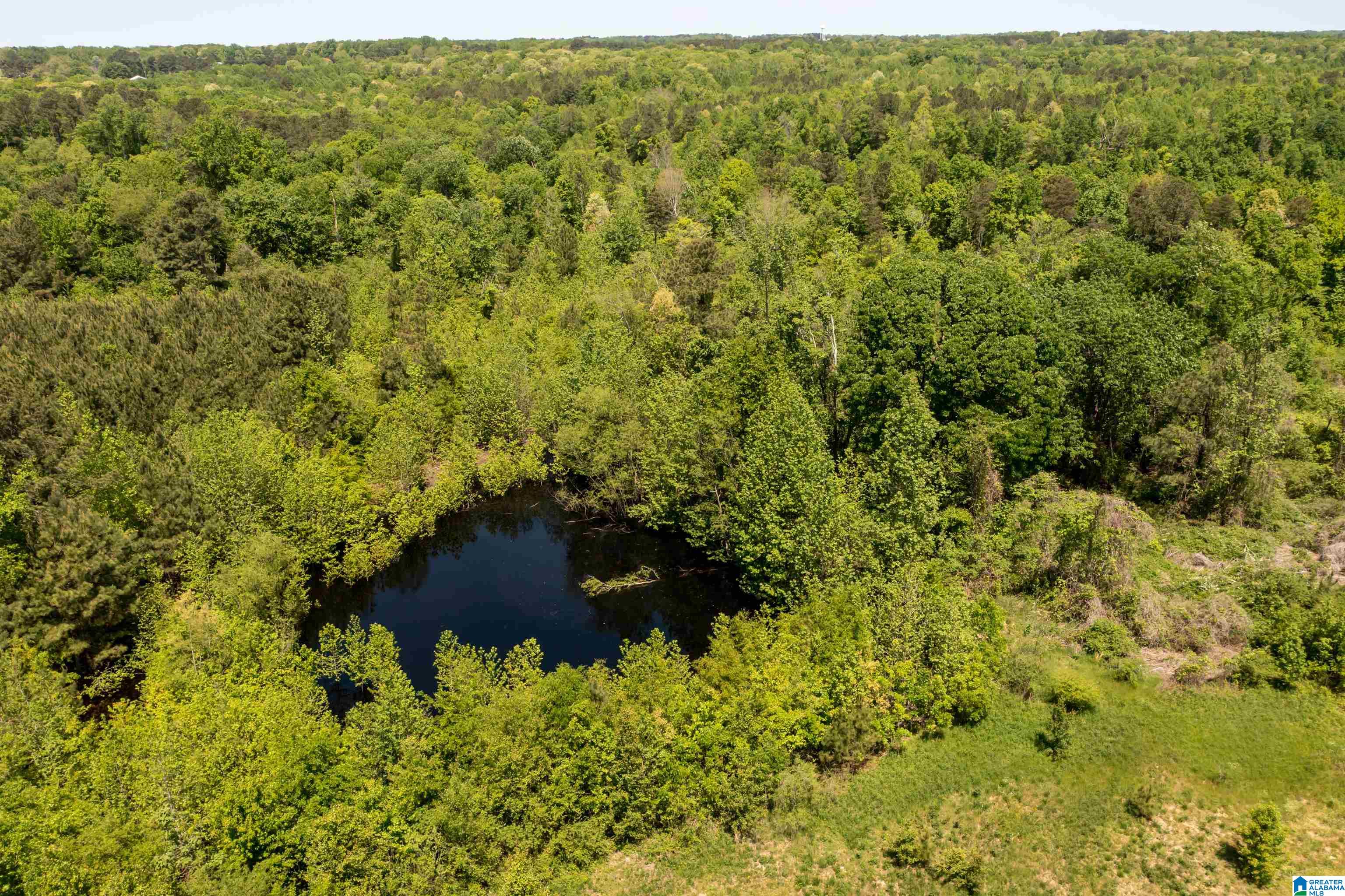1255 Childers Road Eva, AL 35621 - Photo 10 of 50 Gallery Image 10