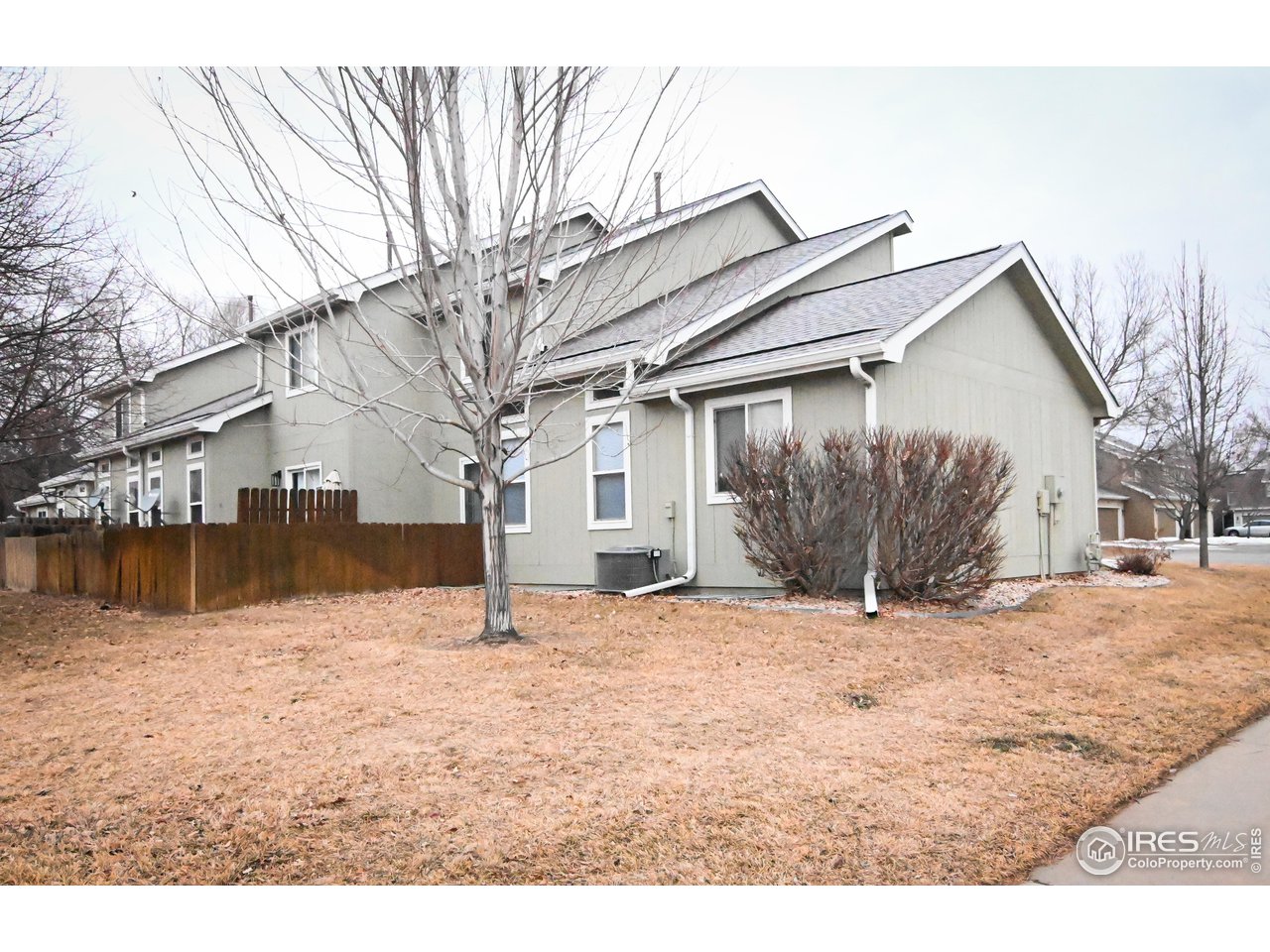 818 2nd Street Windsor, CO 80550 - Photo 20 of 22