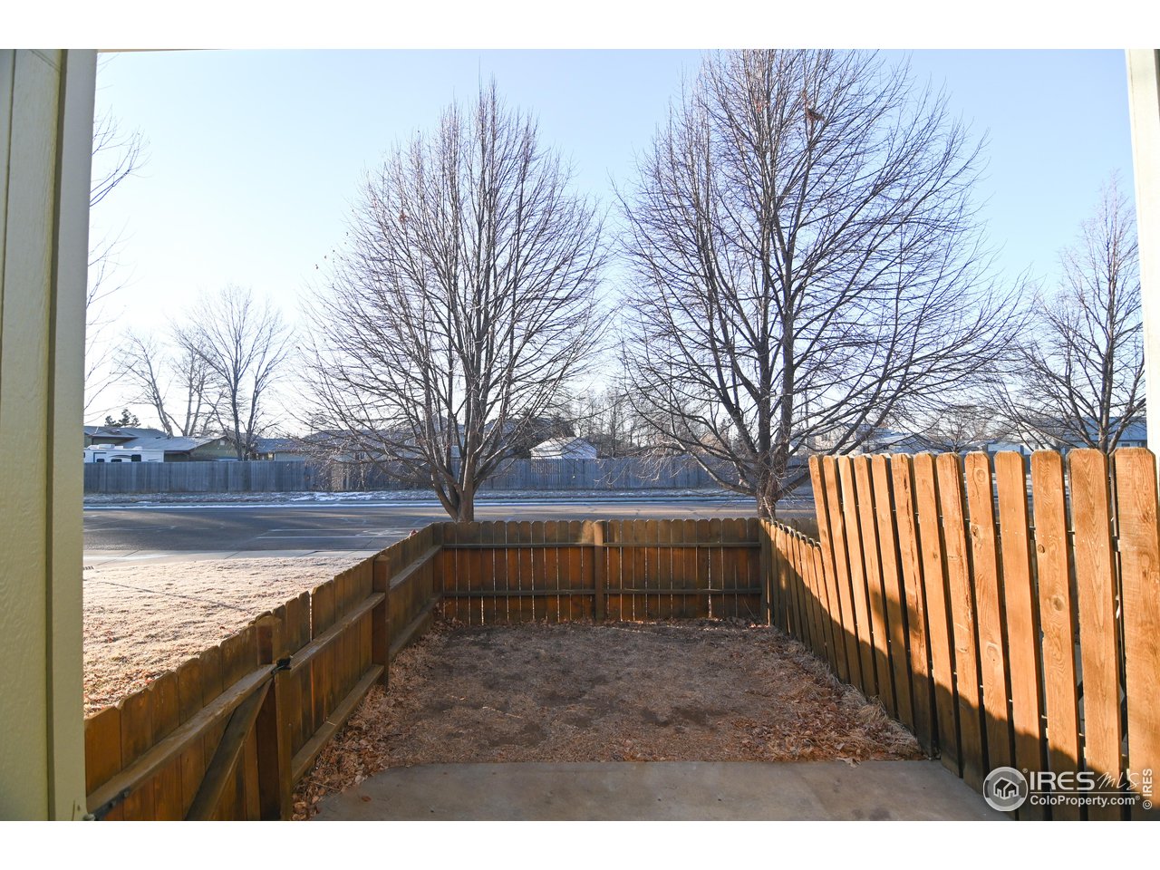 818 2nd Street Windsor, CO 80550 - Photo 22 of 22 Fenced in Backyard