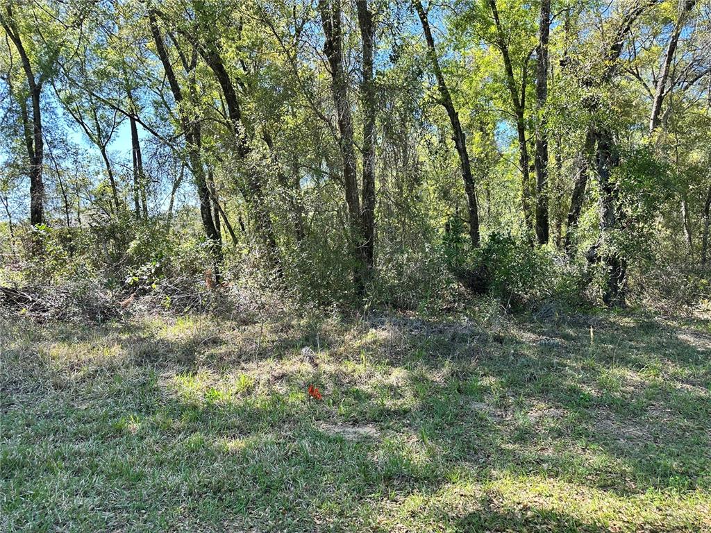 446 North Fitzpatrick Avenue Inverness, FL 34453 - Photo 1 of 5 Gallery Image 1