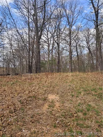 $60,000 | 850 Ghost Water Road, Gravois Mills, MO 65037