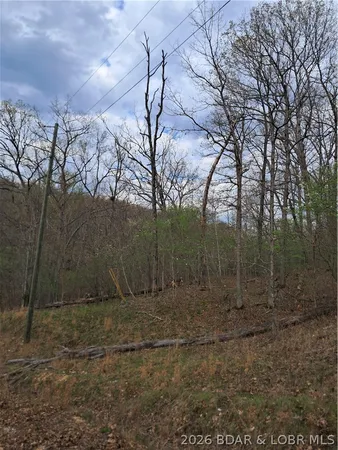 $60,000 | 850 Ghost Water Road, Gravois Mills, MO 65037