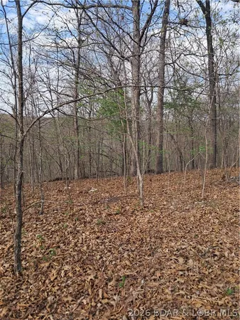 $60,000 | 850 Ghost Water Road, Gravois Mills, MO 65037