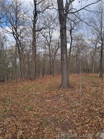 $60,000 | 850 Ghost Water Road, Gravois Mills, MO 65037
