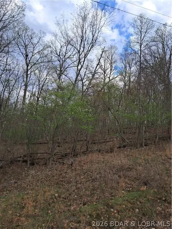 $60,000 | 850 Ghost Water Road, Gravois Mills, MO 65037