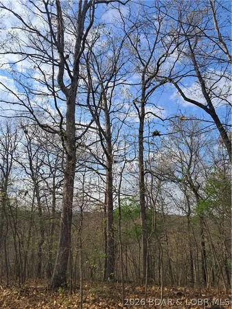 $60,000 | 850 Ghost Water Road, Gravois Mills, MO 65037
