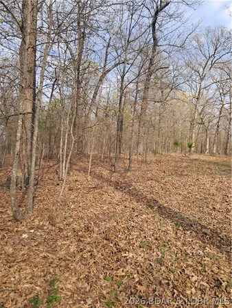 $60,000 | 850 Ghost Water Road, Gravois Mills, MO 65037