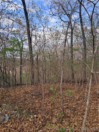 $60,000 | 850 Ghost Water Road, Gravois Mills, MO 65037