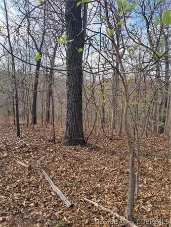$60,000 | 850 Ghost Water Road, Gravois Mills, MO 65037