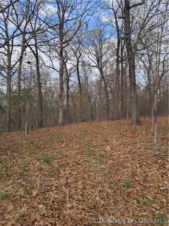 $60,000 | 850 Ghost Water Road, Gravois Mills, MO 65037